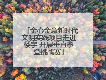 金心金意新时代文明实践项目走进楼宇 开展垂直攀登挑战赛