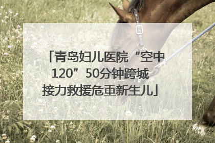 青岛妇儿医院“空中120”50分钟跨城接力救援危重新生儿