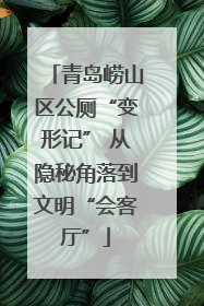 青岛崂山区公厕“变形记” 从隐秘角落到文明“会客厅”