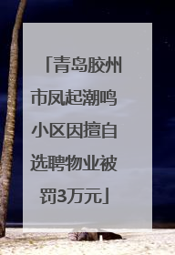 青岛胶州市凤起潮鸣小区因擅自选聘物业被罚3万元