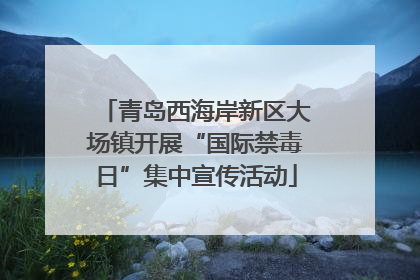 青岛西海岸新区大场镇开展“国际禁毒日”集中宣传活动