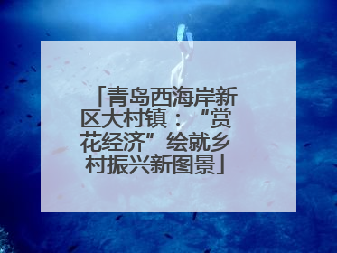 青岛西海岸新区大村镇：“赏花经济”绘就乡村振兴新图景