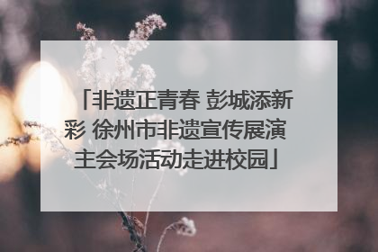 非遗正青春 彭城添新彩 徐州市非遗宣传展演主会场活动走进校园