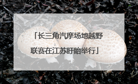 长三角汽摩场地越野联赛在江苏盱眙举行