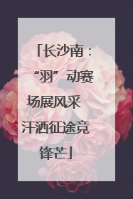 长沙南：“羽”动赛场展风采 汗洒征途竞锋芒