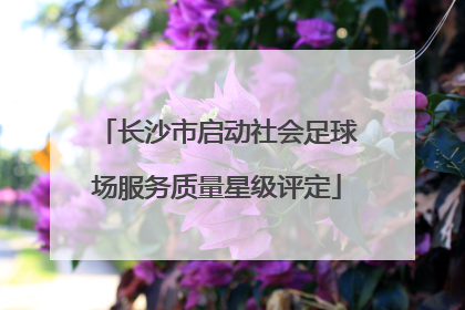 长沙市启动社会足球场服务质量星级评定