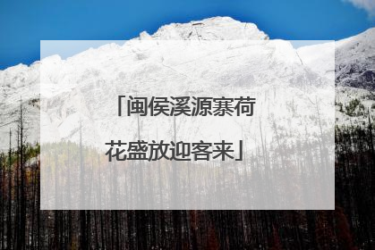 闽侯溪源寨荷花盛放迎客来