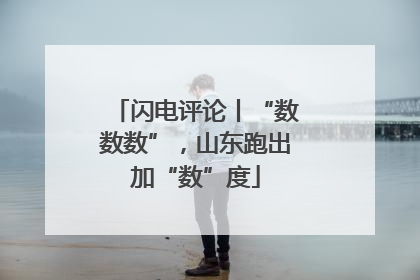 闪电评论丨“数数数”，山东跑出加“数”度