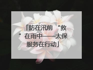 防在汛前 “救”在雨中——太保服务在行动