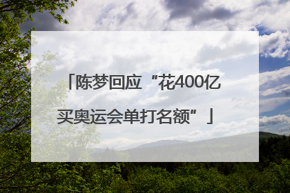 陈梦回应“花400亿买奥运会单打名额”