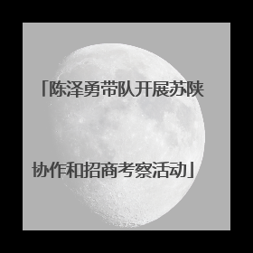 陈泽勇带队开展苏陕协作和招商考察活动
