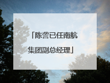 陈詟已任南航集团副总经理