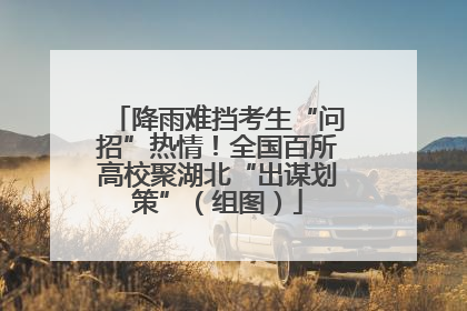 降雨难挡考生“问招”热情！全国百所高校聚湖北“出谋划策”（组图）