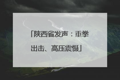 陕西省发声：重拳出击、高压震慑