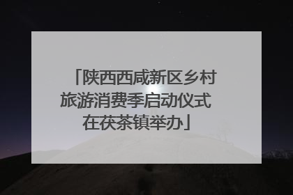 陕西西咸新区乡村旅游消费季启动仪式在茯茶镇举办