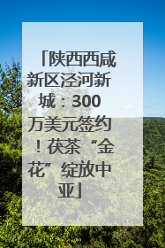 陕西西咸新区泾河新城：300万美元签约！茯茶“金花”绽放中亚