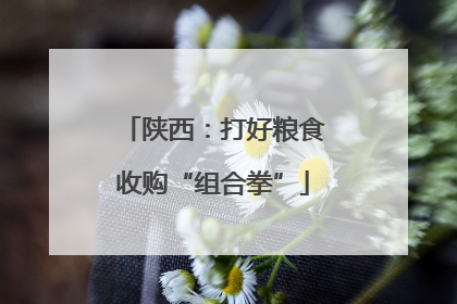 陕西：打好粮食收购“组合拳”