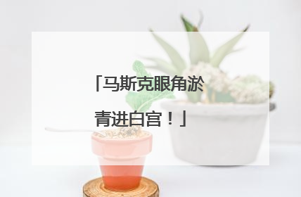马斯克眼角淤青进白宫！