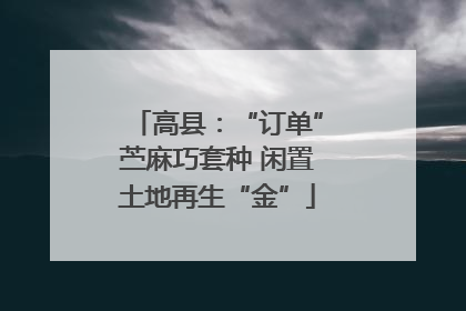 高县：“订单”苎麻巧套种 闲置土地再生“金”