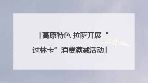 高原特色 拉萨开展“过林卡”消费满减活动