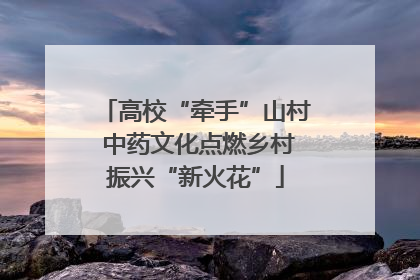 高校“牵手”山村 中药文化点燃乡村振兴“新火花”