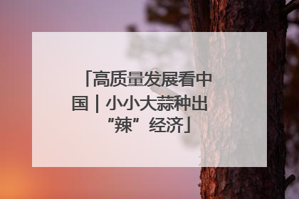 高质量发展看中国｜小小大蒜种出“辣”经济