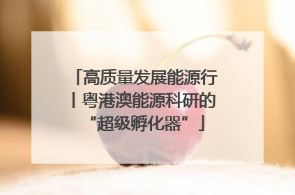 高质量发展能源行丨粤港澳能源科研的“超级孵化器”