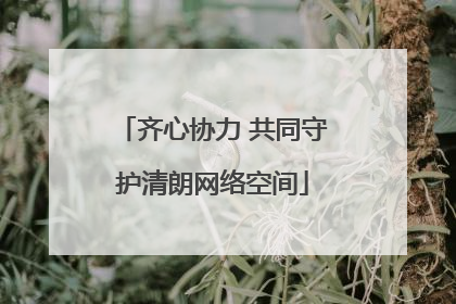 齐心协力 共同守护清朗网络空间
