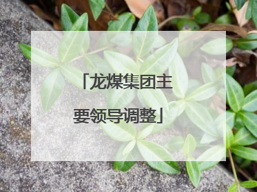 龙煤集团主要领导调整