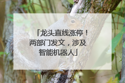 龙头直线涨停！两部门发文，涉及智能机器人