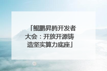 鲲鹏昇腾开发者大会：开放开源铸造坚实算力底座