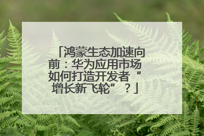 鸿蒙生态加速向前：华为应用市场如何打造开发者“增长新飞轮”？