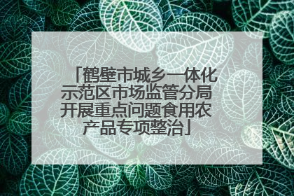 鹤壁市城乡一体化示范区市场监管分局开展重点问题食用农产品专项整治