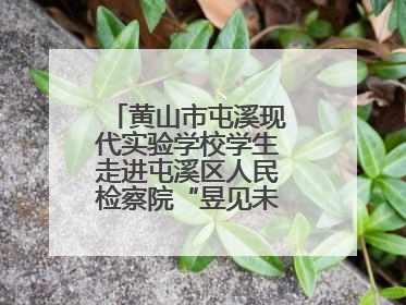 黄山市屯溪现代实验学校学生走进屯溪区人民检察院“昱见未来”青少年法治教育宣传基地