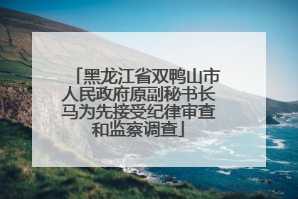 黑龙江省双鸭山市人民政府原副秘书长马为先接受纪律审查和监察调查