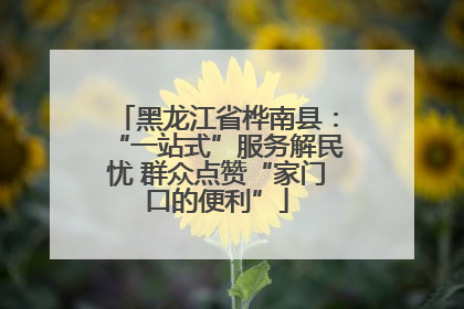 黑龙江省桦南县：“一站式”服务解民忧 群众点赞“家门口的便利”