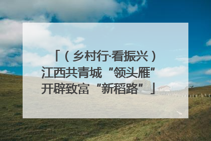 （乡村行·看振兴）江西共青城“领头雁”开辟致富“新稻路”