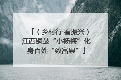 （乡村行·看振兴）江西铜鼓“小杨梅”化身百姓“致富果”