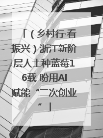 （乡村行·看振兴）浙江新阶层人士种蓝莓16载 盼用AI赋能“二次创业”