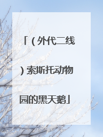 （外代二线）索斯托动物园的黑天鹅