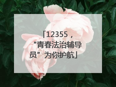 12355，“青春法治辅导员”为你护航