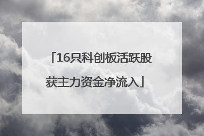 16只科创板活跃股获主力资金净流入