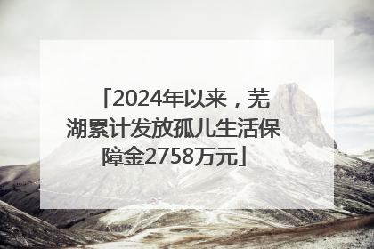 2024年以来，芜湖累计发放孤儿生活保障金2758万元