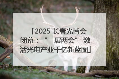 2025 长春光博会闭幕：“一展两会” 激活光电产业千亿新蓝图