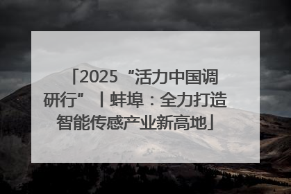 2025“活力中国调研行”丨蚌埠：全力打造智能传感产业新高地