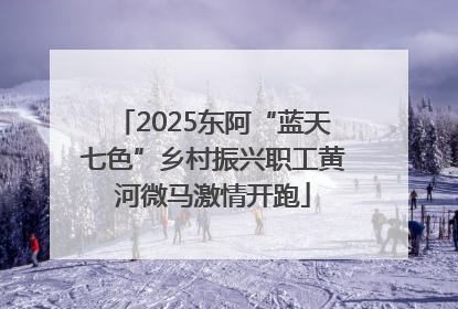 2025东阿“蓝天七色”乡村振兴职工黄河微马激情开跑