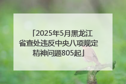 2025年5月黑龙江省查处违反中央八项规定精神问题805起
