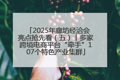 2025年廊坊经洽会亮点抢先看（五）丨多家跨境电商平台“牵手”107个特色产业集群