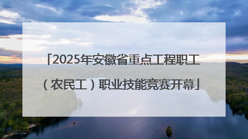 2025年安徽省重点工程职工（农民工）职业技能竞赛开幕