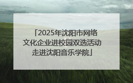 2025年沈阳市网络文化企业进校园双选活动走进沈阳音乐学院